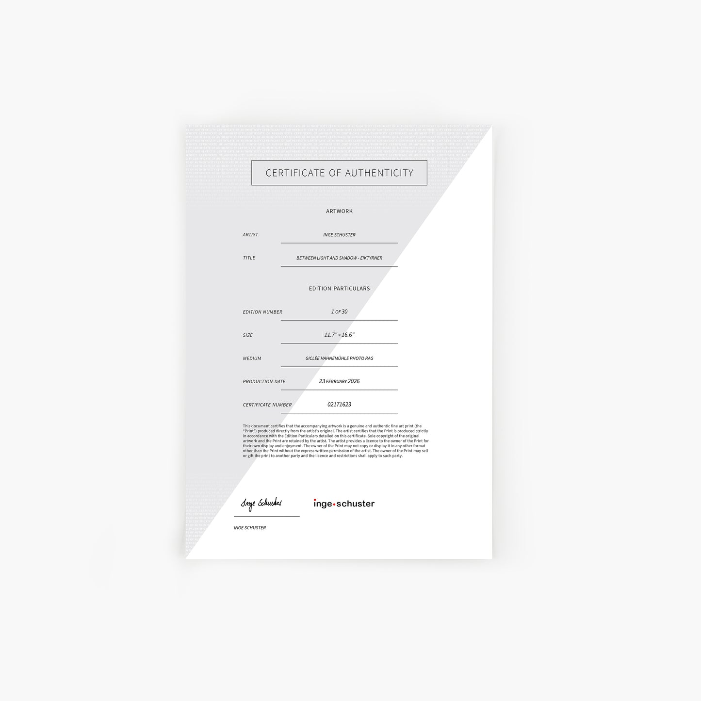 BETWEEN LIGHT AND SHADOW - Eiktyrner