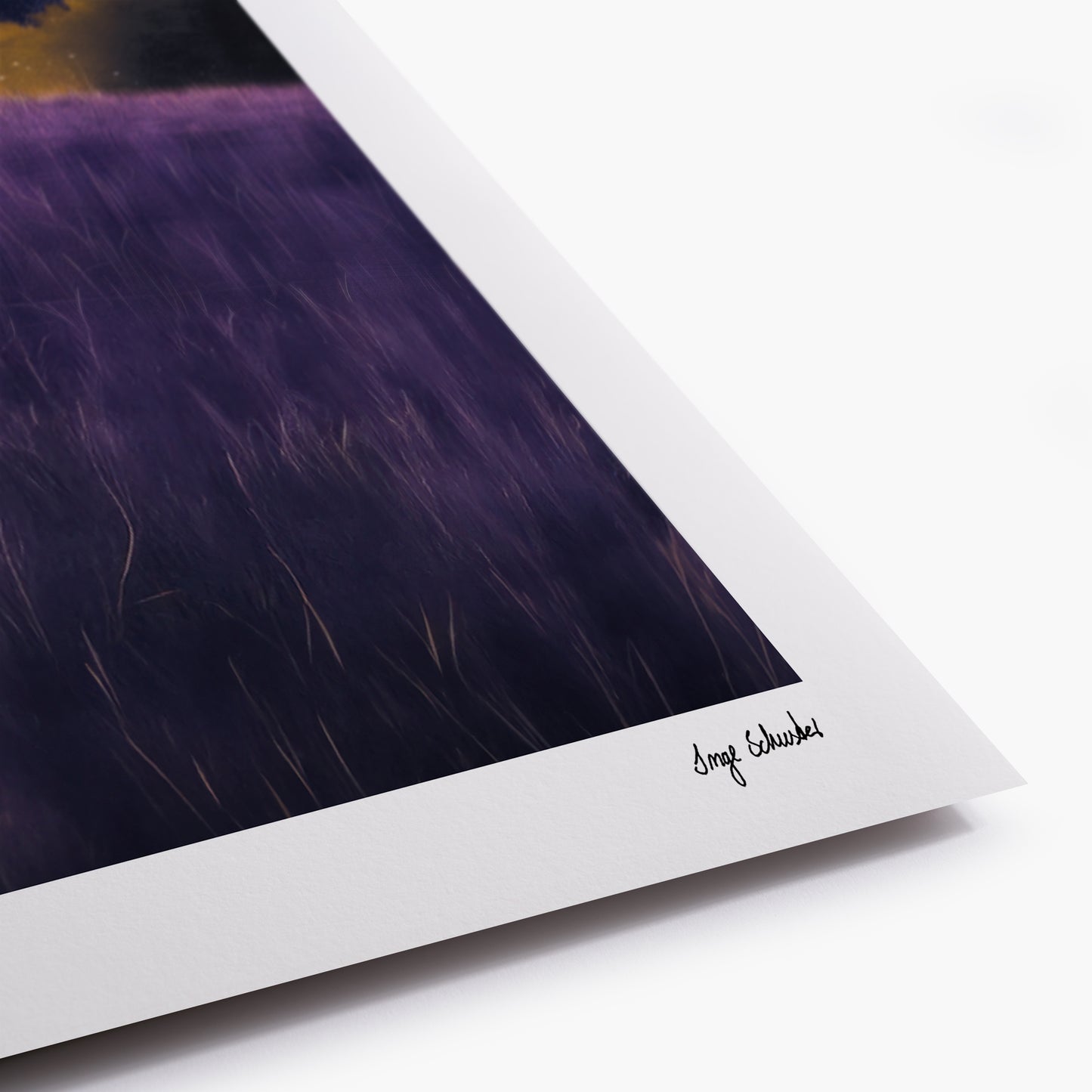 BETWEEN LIGHT AND SHADOW - Carnonos