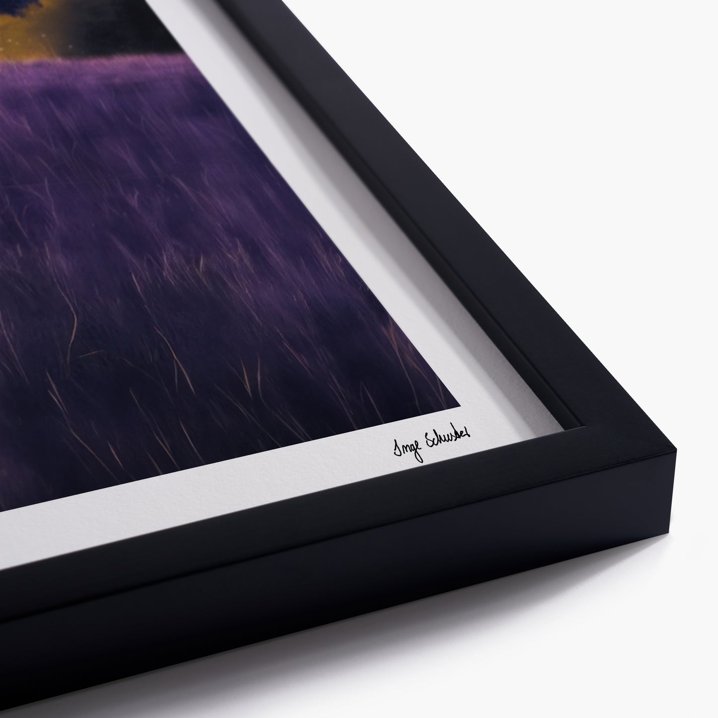 BETWEEN LIGHT AND SHADOW - Carnonos