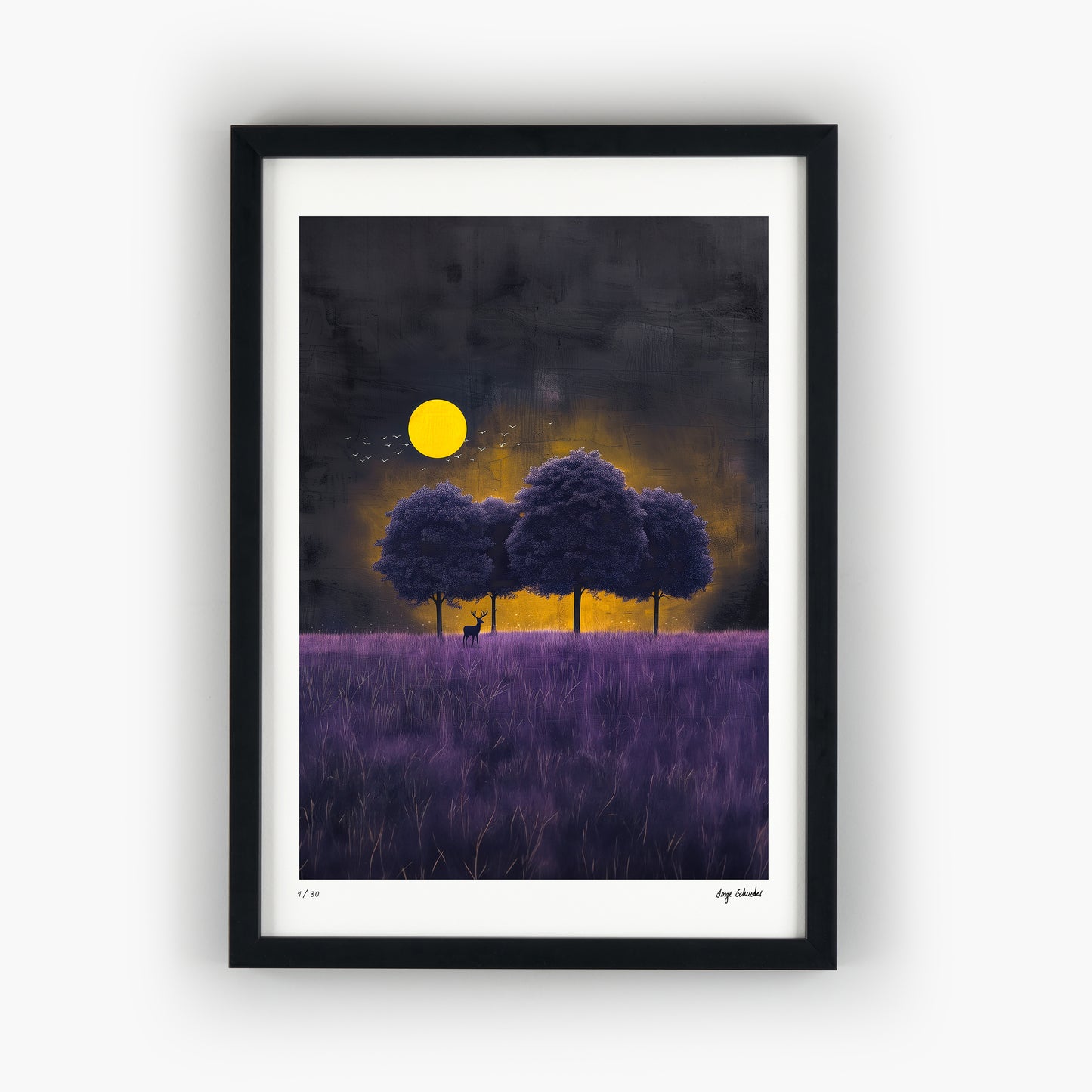 BETWEEN LIGHT AND SHADOW - Carnonos