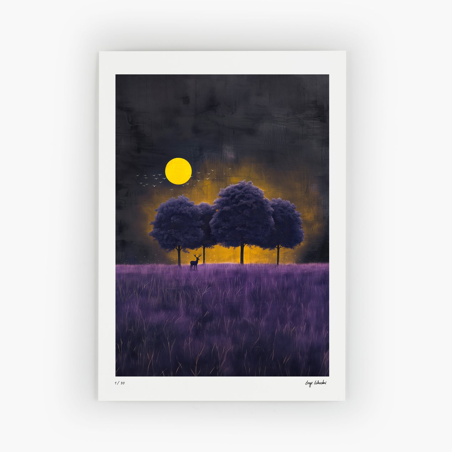 BETWEEN LIGHT AND SHADOW - Carnonos